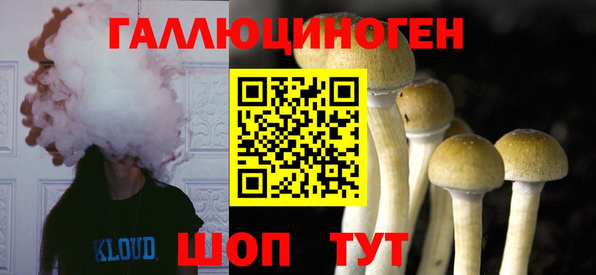 Псилоцибиновые грибы ЛСД Богородицк